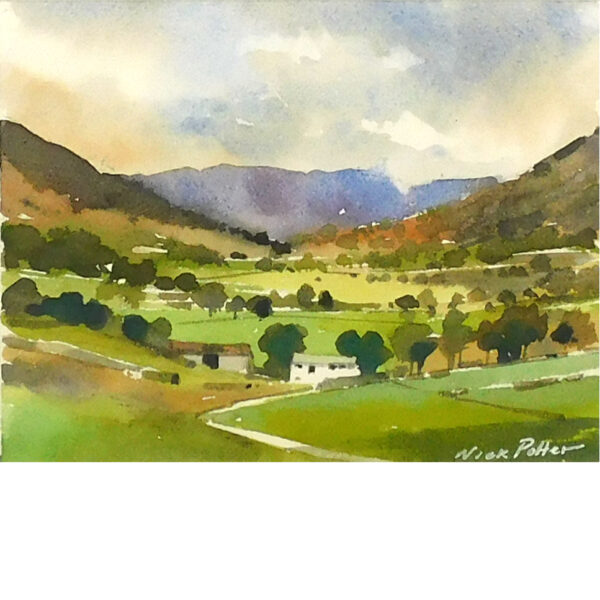 Farm, Longsleddale by Nick Potter