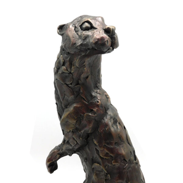 Otter by Paul Jenkins